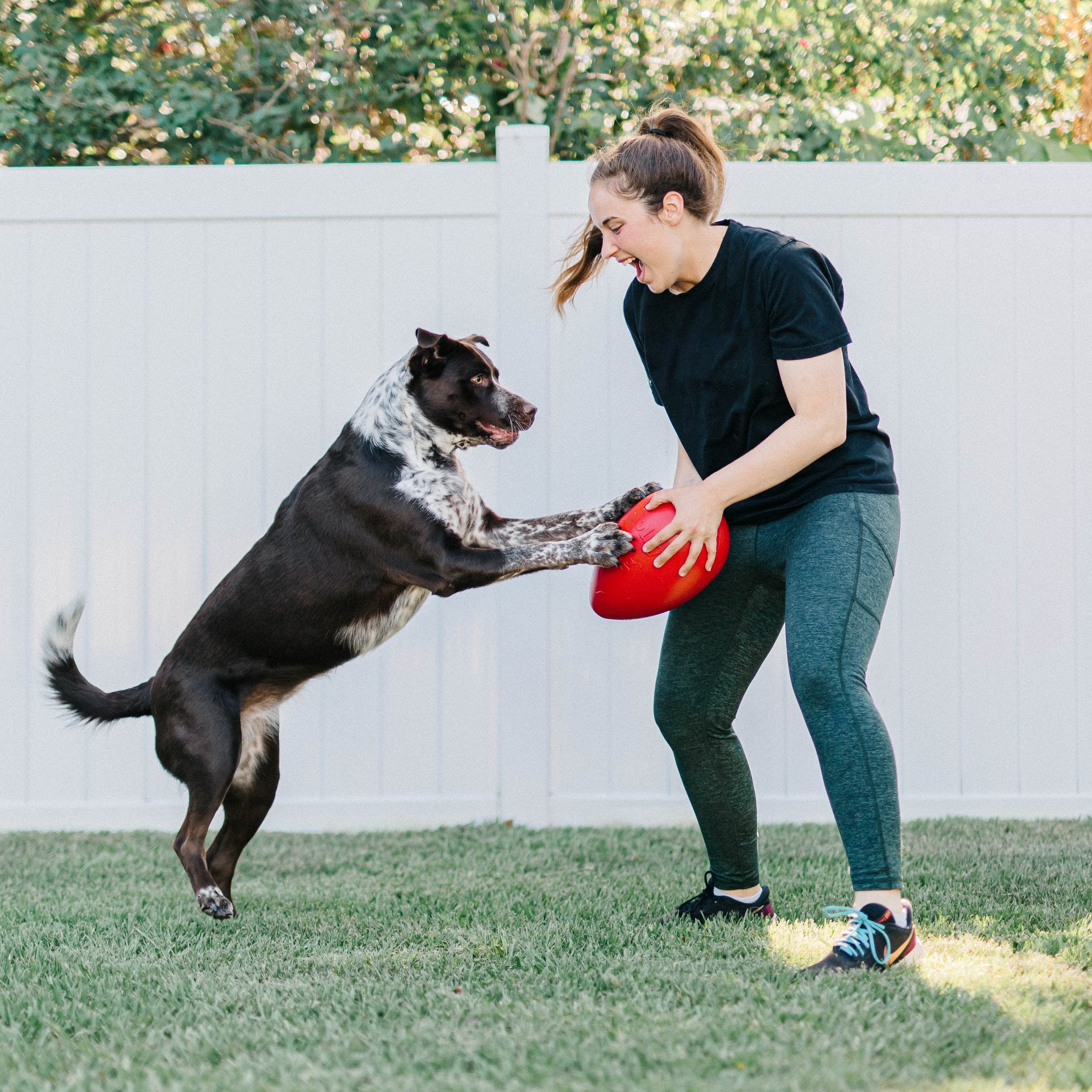 Jolly Egg-Rover Pet Products