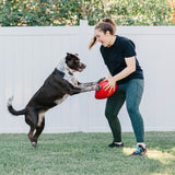 Jolly Egg-Rover Pet Products