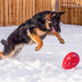 Jolly Egg-Rover Pet Products