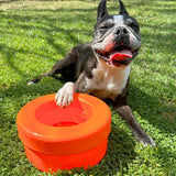 K9 Cruiserbowl - Round-Rover Pet Products