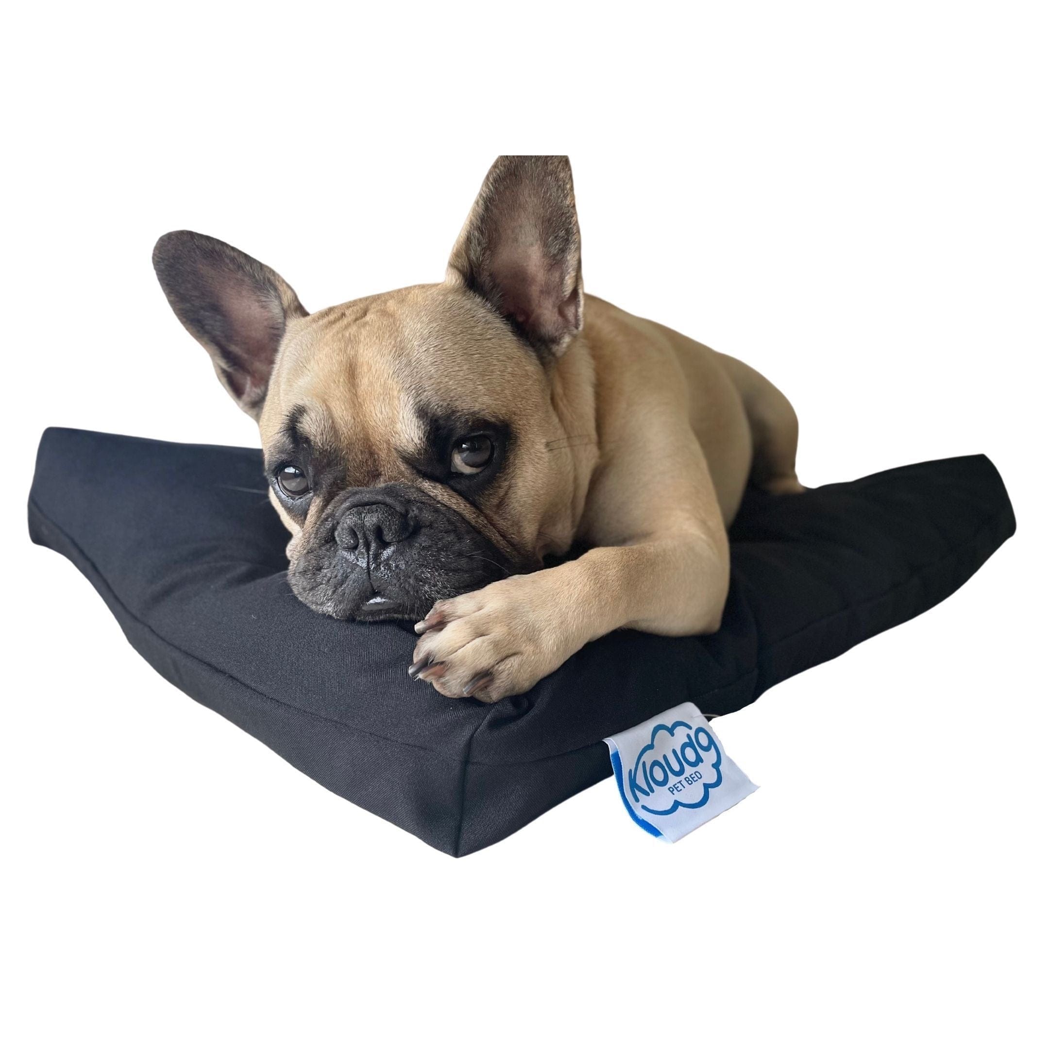 Kloud9 Calming Dog Bed-Dog Bed-Rover Pet Products