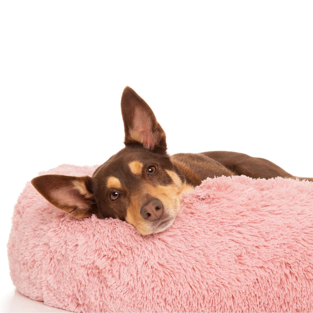 Kloud9 Teddy - Australia's Best Calming Dog Bed-Dog Bed-Rover Pet Products