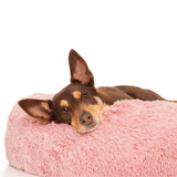 Kloud9 Teddy - Australia's Best Calming Dog Bed-Dog Bed-Rover Pet Products