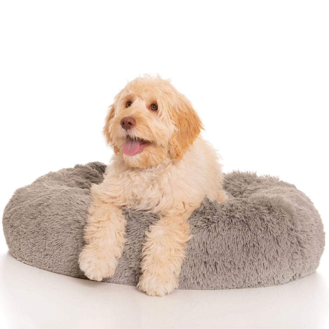 Kloud9 Teddy - Australia's Best Calming Dog Bed-Dog Bed-Rover Pet Products