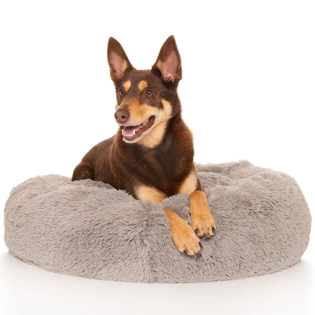 Kloud9 Teddy - Australia's Best Calming Dog Bed-Dog Bed-Rover Pet Products