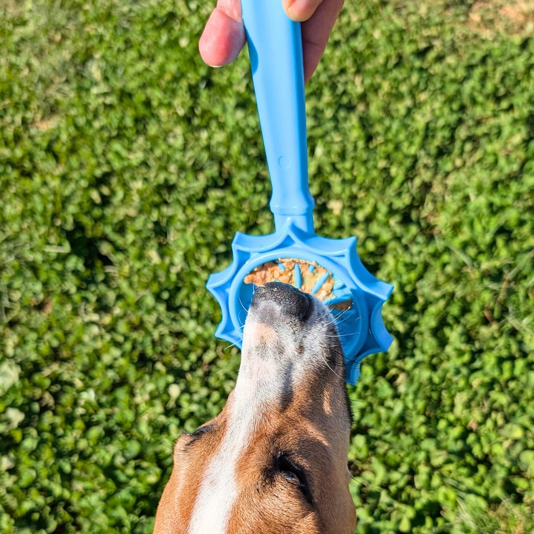 Lick Sticks-Dog Toy-Rover Pet Products