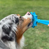 Lick Sticks-Dog Toy-Rover Pet Products