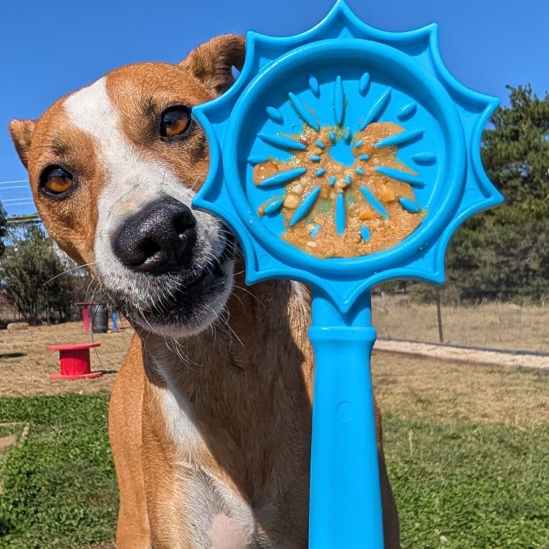 Lick Sticks-Dog Toy-Rover Pet Products