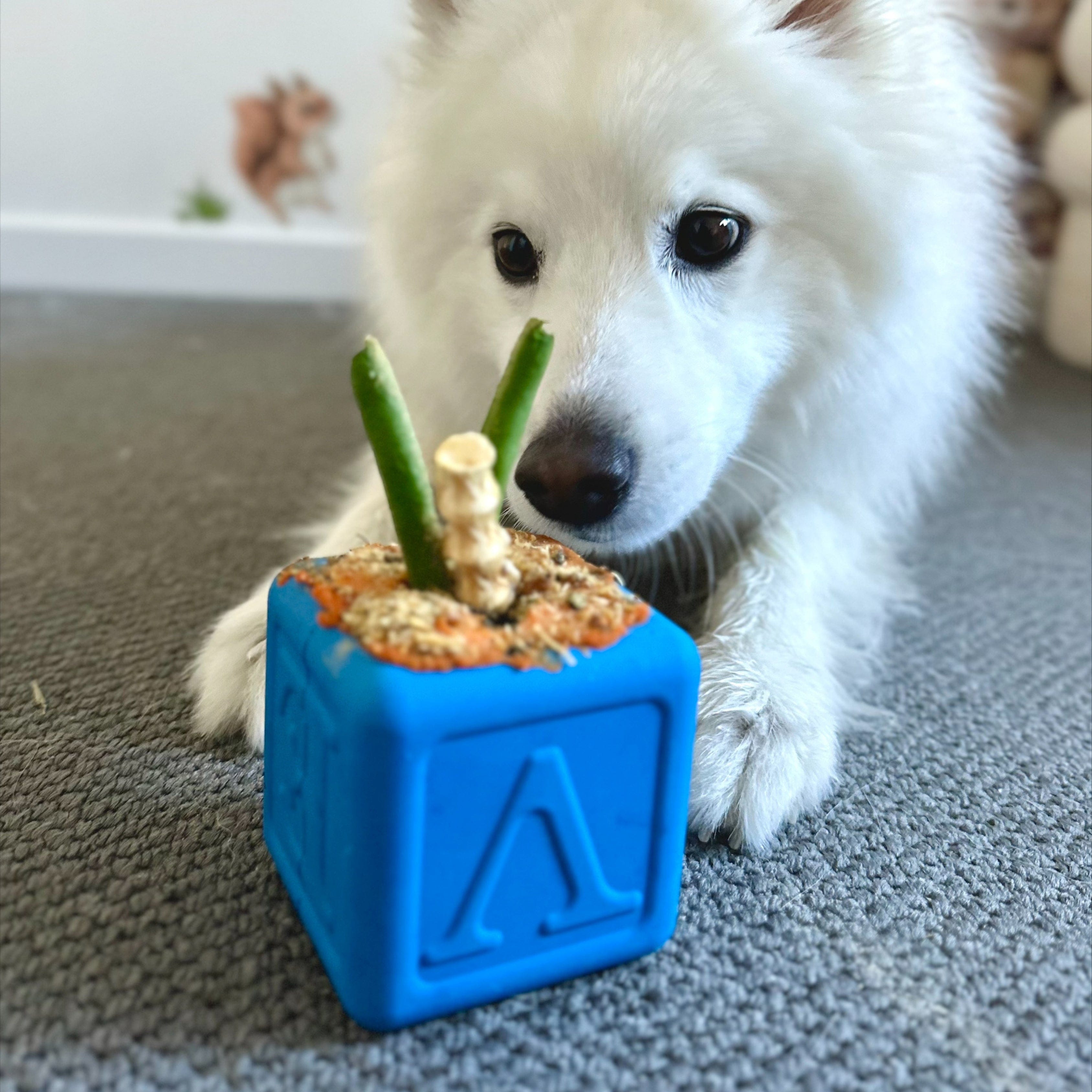 Love Cube-Dog Toy-Rover Pet Products