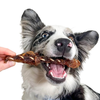 Crocodile Rib Treats – Aussie Hypoallergenic Crunchy Chew