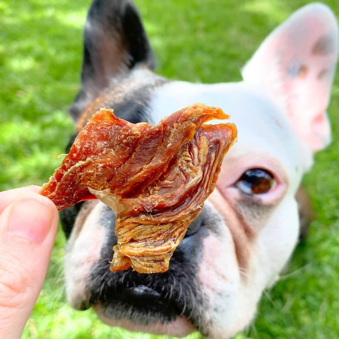 Make It Snappy - Crocodile Jerky-Dog Treat-Rover Pet Products