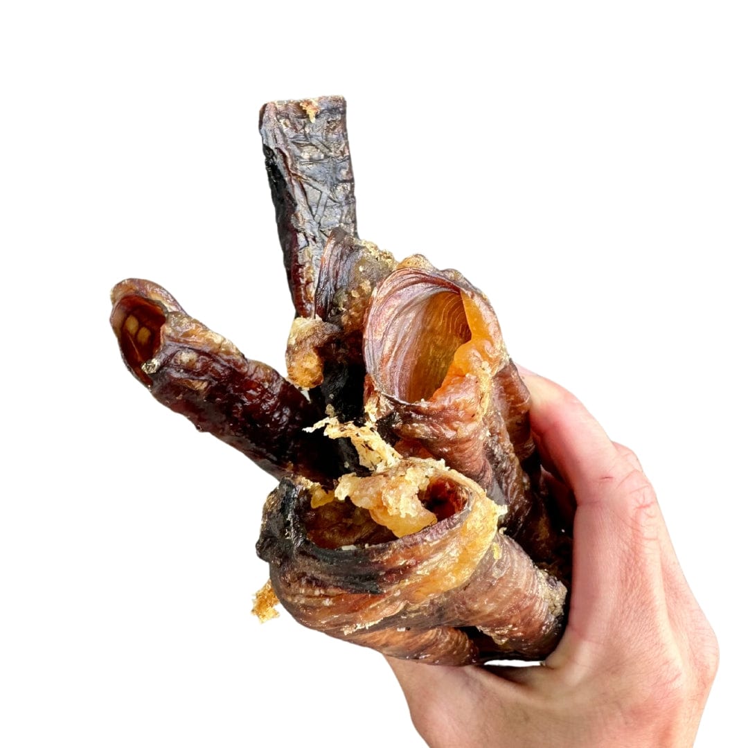 Neck Me' - Emu Trachea-Dog Treat-Rover Pet Products