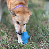 Petz Marrow Holder-Dog Toy-Rover Pet Products