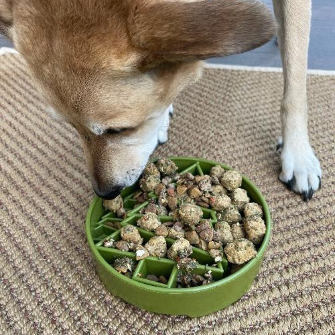 Pine Tree Design eBowl Slow Feeder For Dogs-Slow Feeder-Rover Pet Products