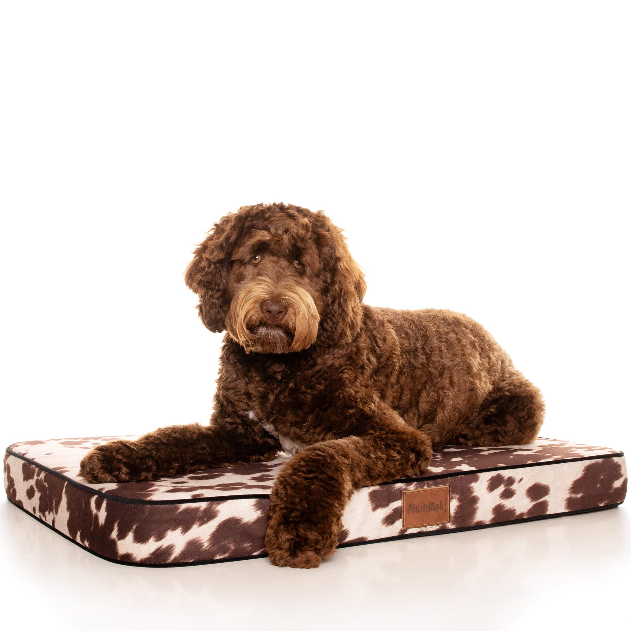 PlushMat! Orthopaedic Dog Bed-Dog Bed-Rover Pet Products