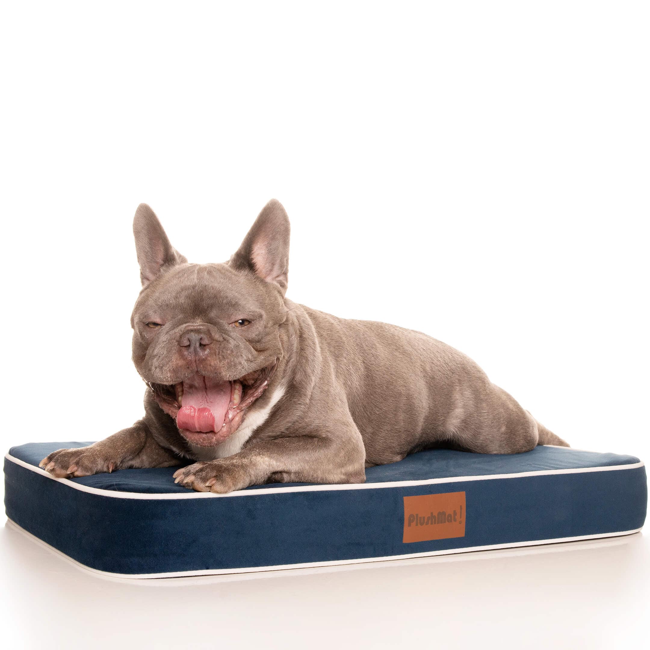 PlushMat! Orthopaedic Dog Bed-Dog Bed-Rover Pet Products