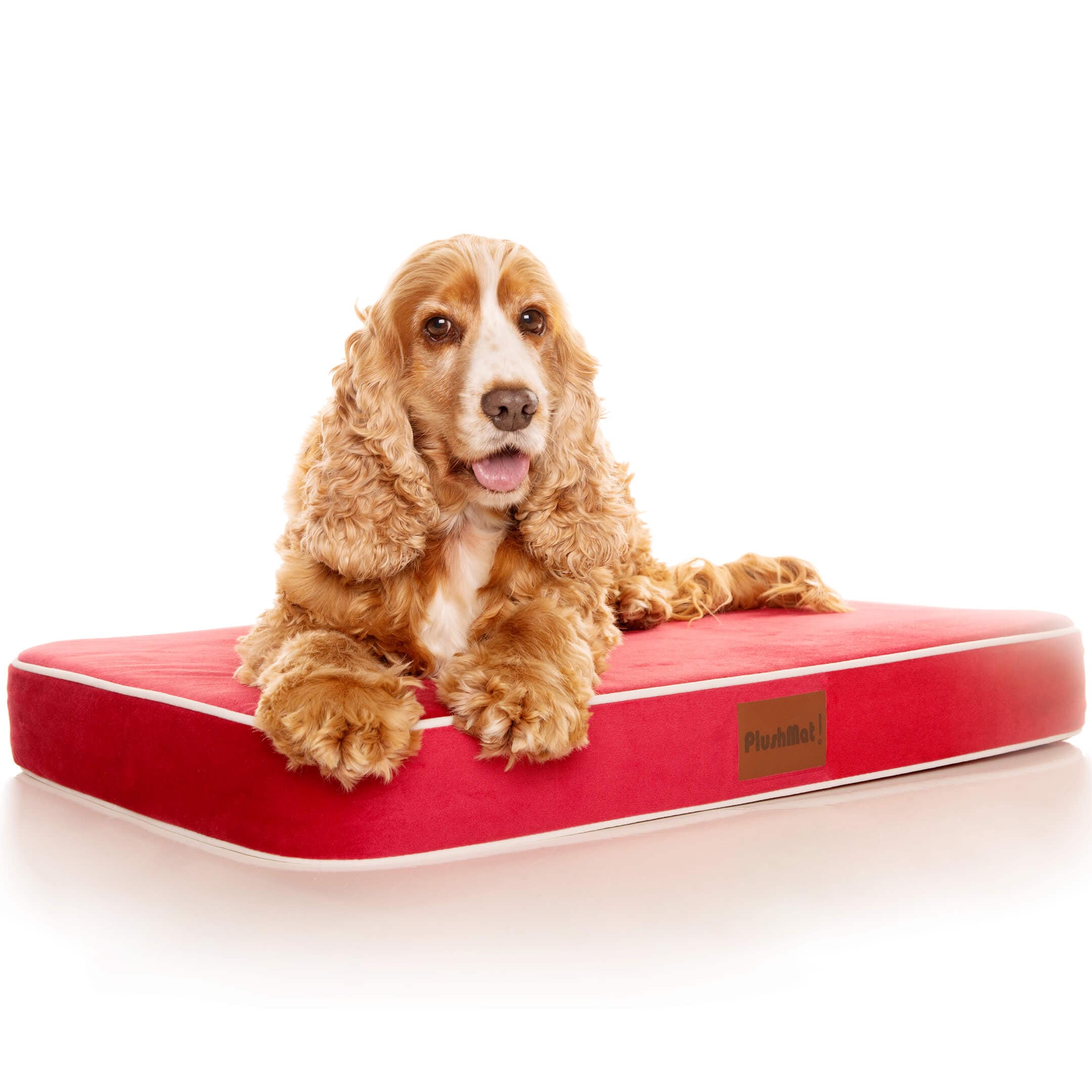 PlushMat! Orthopaedic Dog Bed-Dog Bed-Rover Pet Products