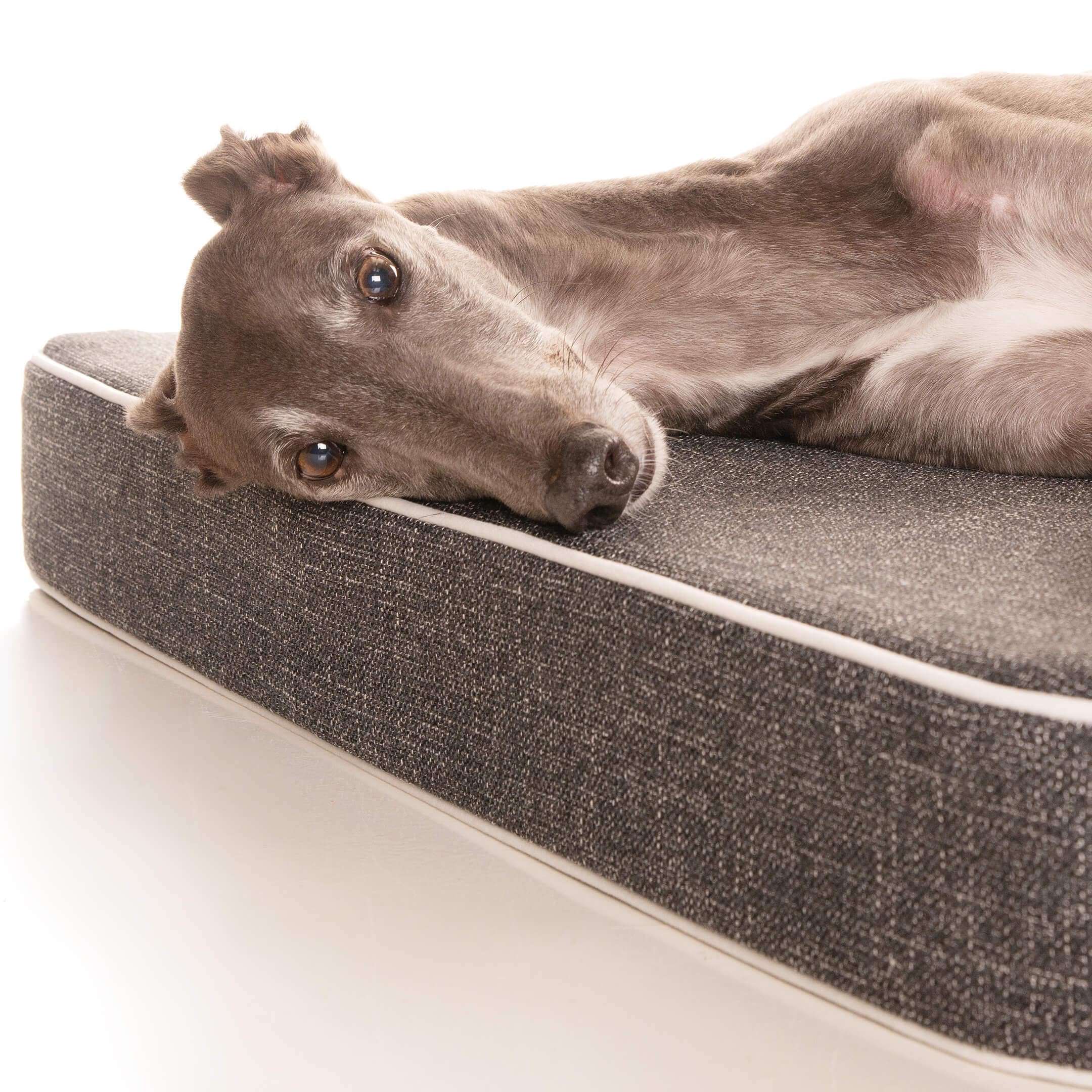 PlushMat! Orthopaedic Dog Bed-Dog Bed-Rover Pet Products