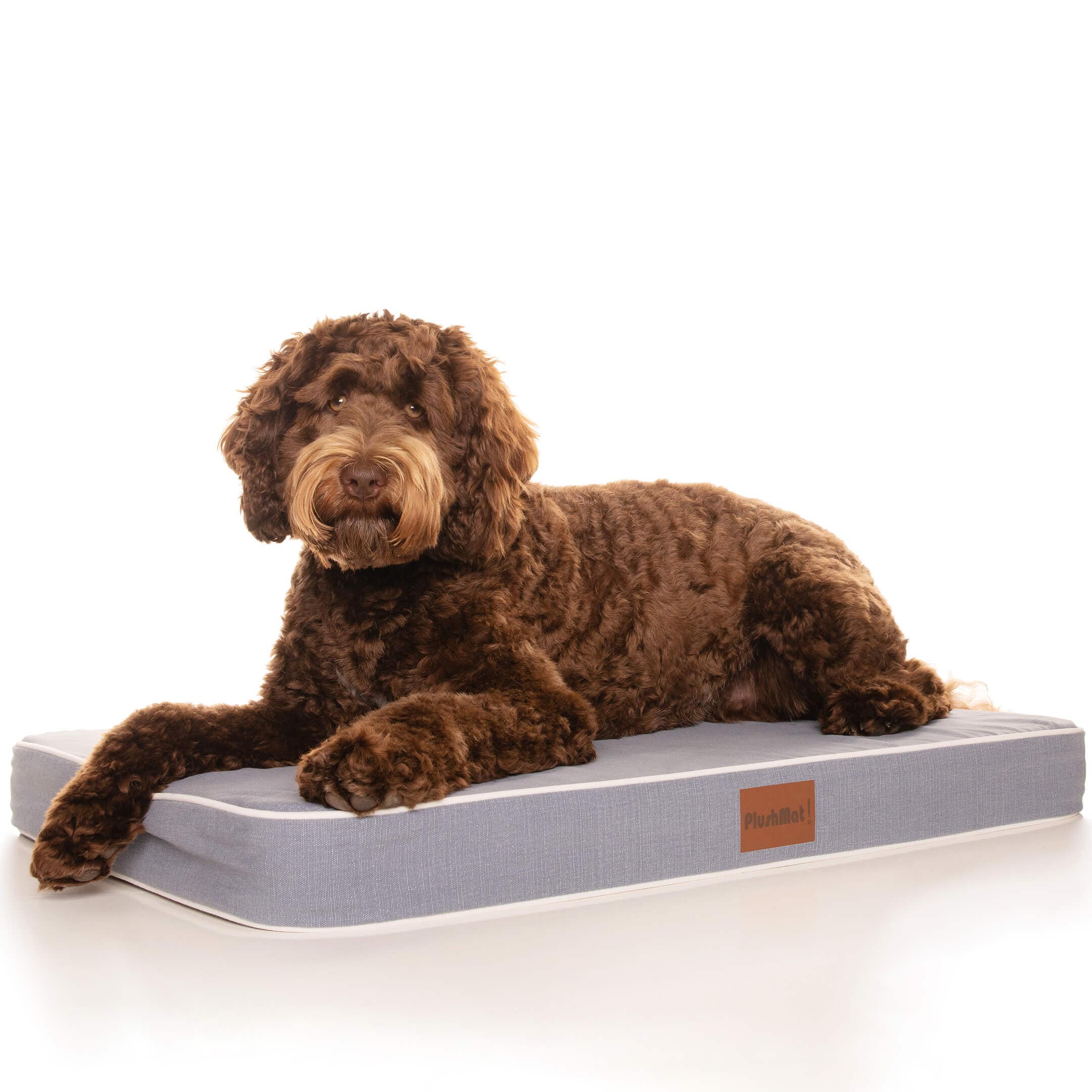 PlushMat! Plus - Thermal & Therapeutic - Orthopaedic Dog Bed-Dog Bed-Rover Pet Products