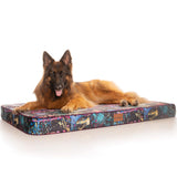 PlushMat! Plus - Thermal & Therapeutic - Orthopaedic Dog Bed-Dog Bed-Rover Pet Products