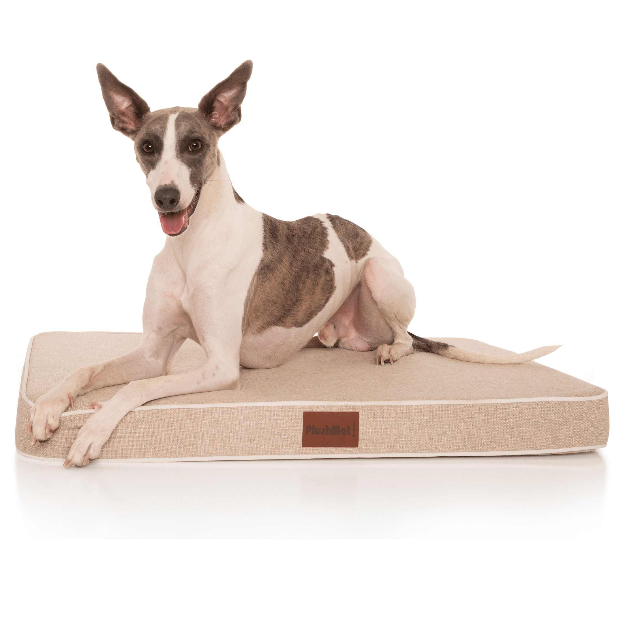 PlushMat! Plus - Thermal & Therapeutic - Orthopaedic Dog Bed-Dog Bed-Rover Pet Products