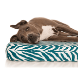 PlushMat! Plus - Thermal & Therapeutic - Orthopaedic Dog Bed-Dog Bed-Rover Pet Products