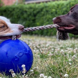 Romp-n-Roll-Rover Pet Products