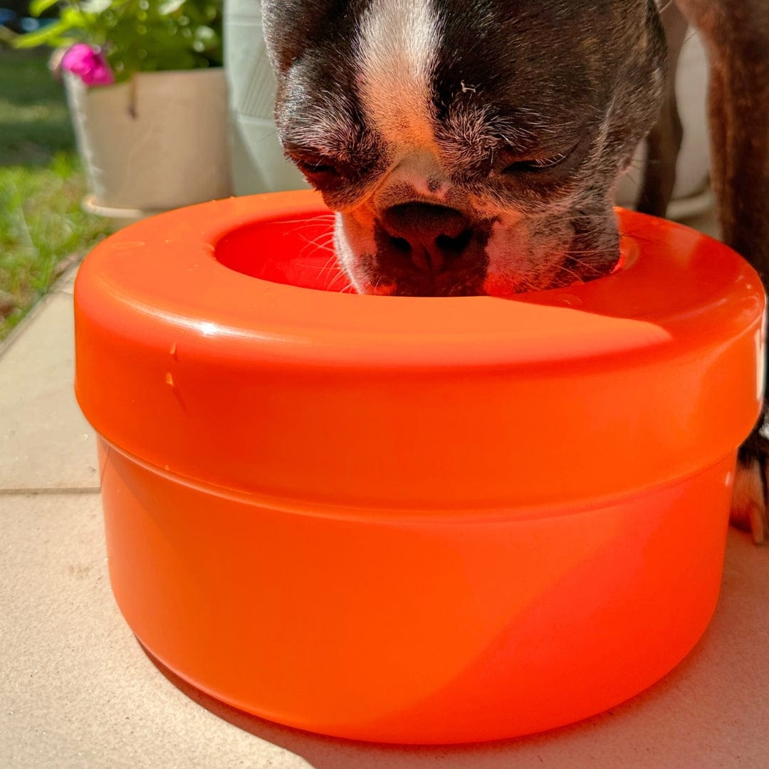 K9 Cruiserbowl - Round-Rover Pet Products