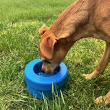 K9 Cruiserbowl - Round