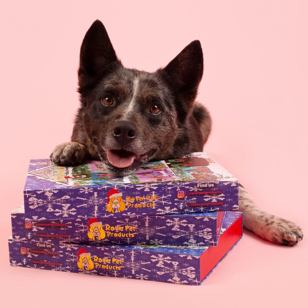 Doggy Christmas Advent Calendar 2024-Rover Pet Products