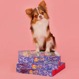 Doggy Christmas Advent Calendar 2024-Rover Pet Products