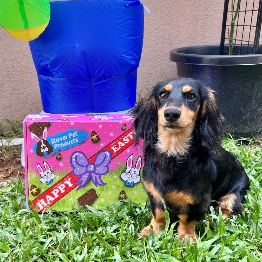 Easter Box