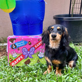 Easter Box