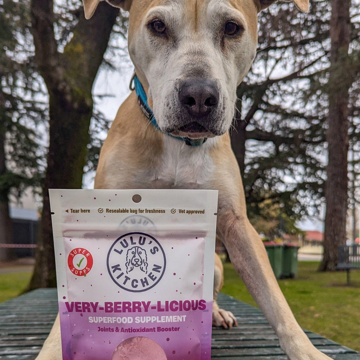 Very-Berry-Licious - Joints & Antioxidant Booster-Rover Pet Products