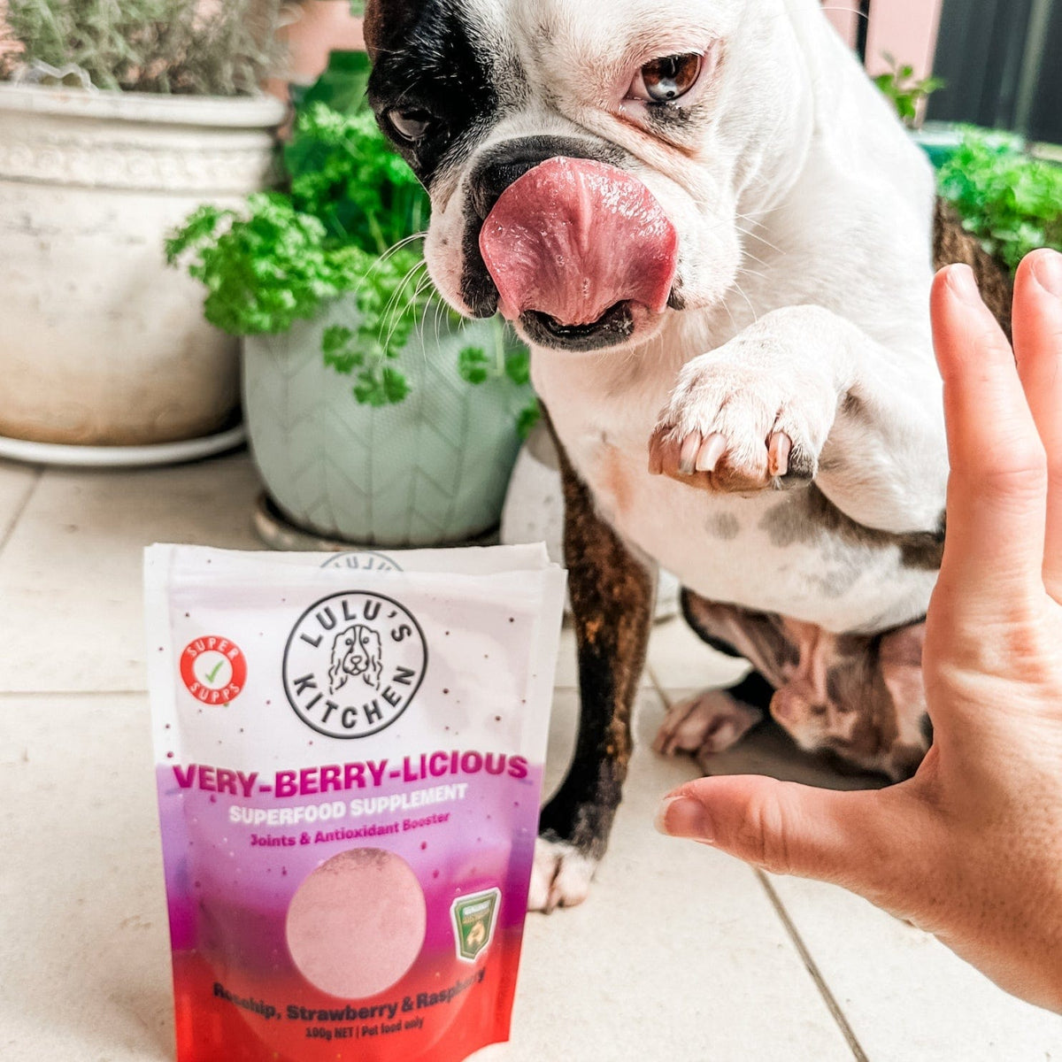 Very-Berry-Licious - Joints & Antioxidant Booster-Rover Pet Products