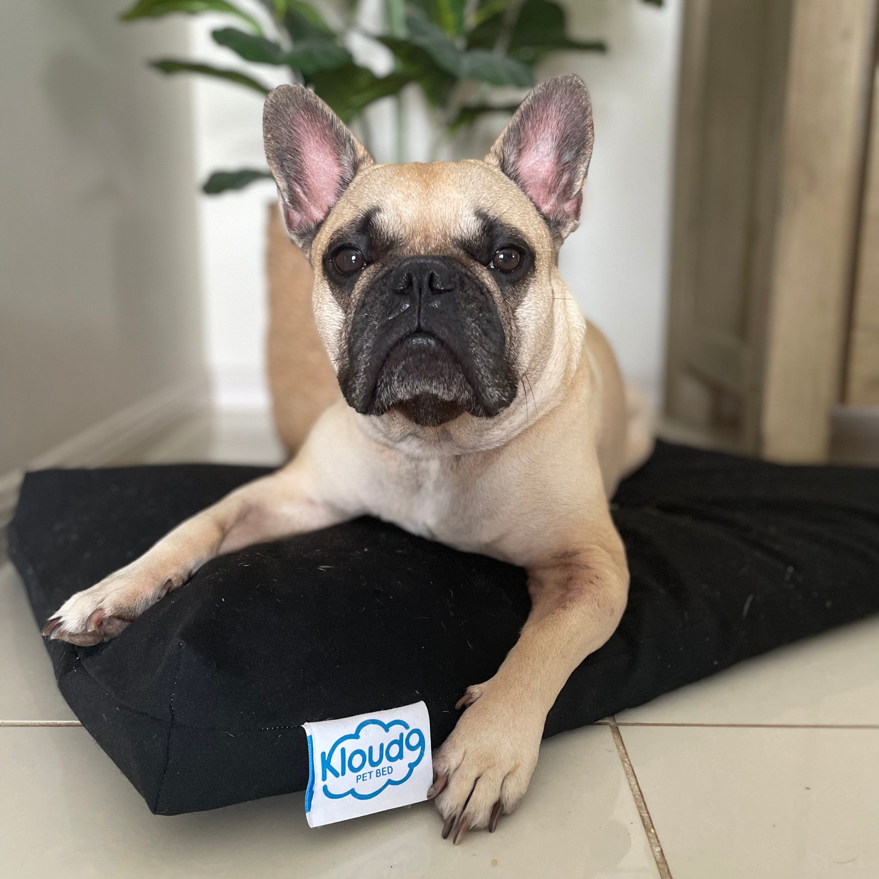 Kloud9 Calming Pet Bed Covers-Dog Bed Addon-Rover Pet Products