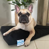 Kloud9 Calming Pet Bed Covers-Dog Bed Addon-Rover Pet Products