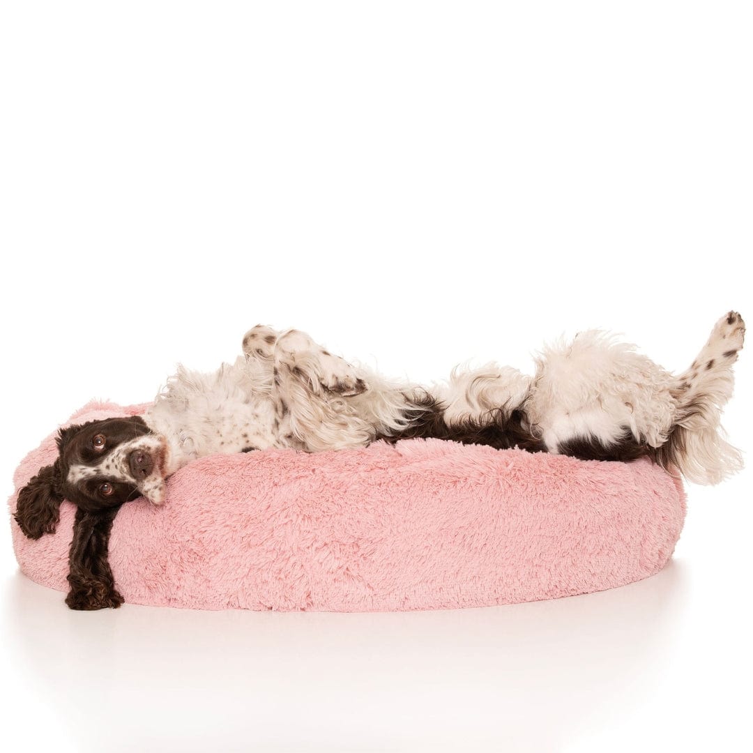 Kloud9 Teddy - Australia's Best Calming Dog Bed-Dog Bed-Rover Pet Products