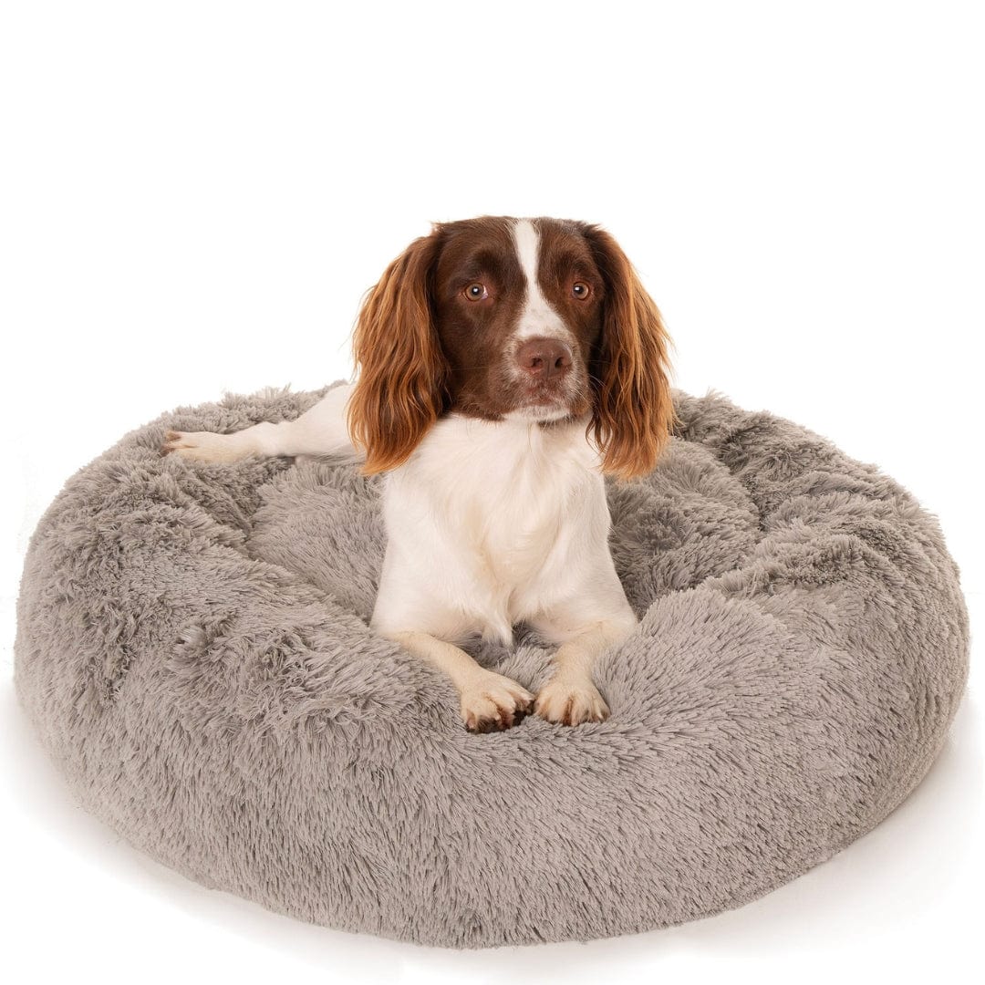 Kloud9 Teddy - Australia's Best Calming Dog Bed-Dog Bed-Rover Pet Products