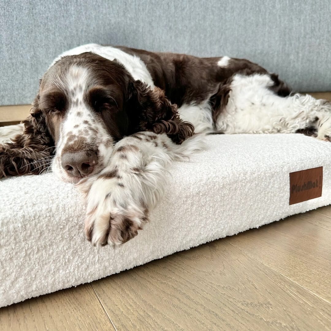 Bouclé PlushMat!-Dog Bed-Rover Pet Products