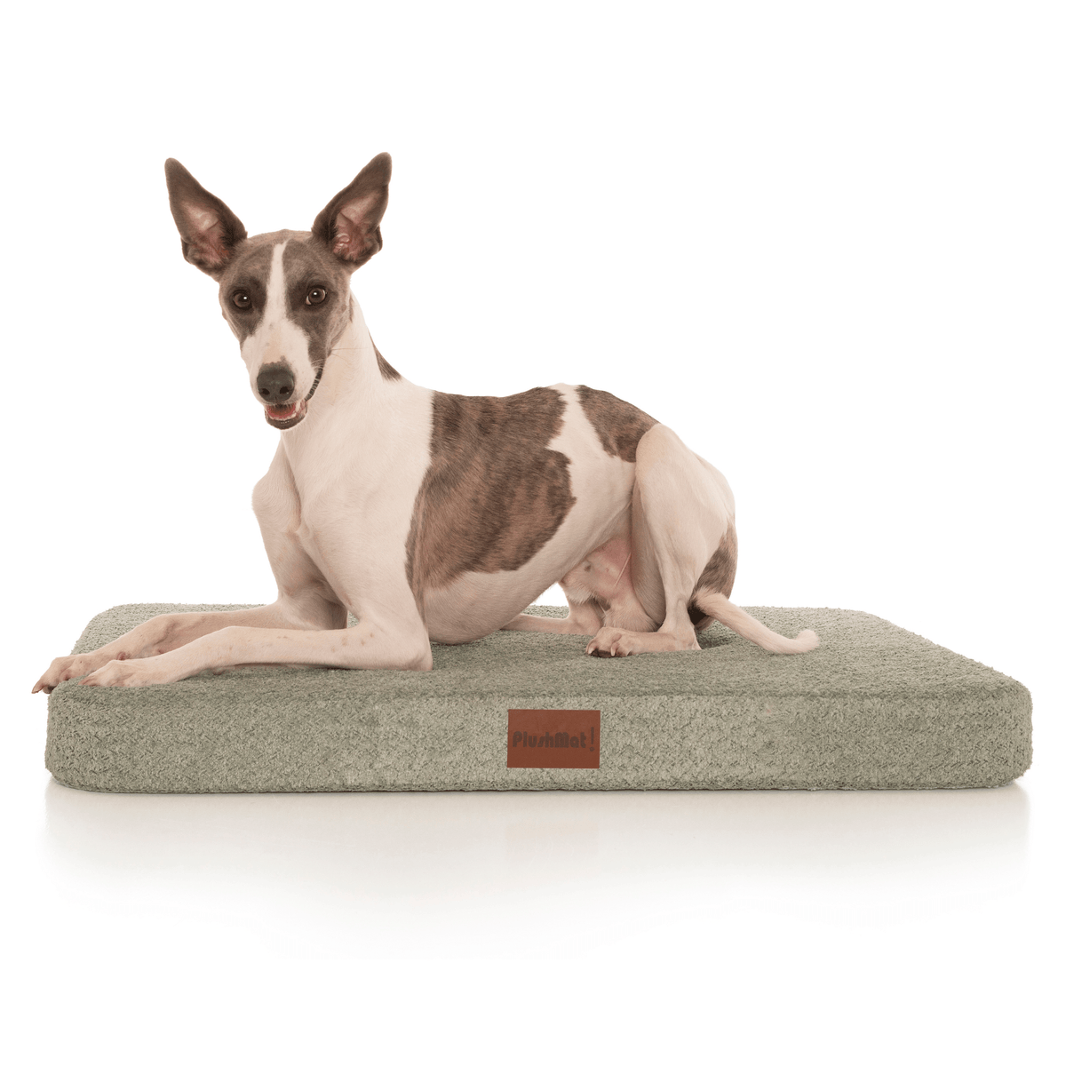 Bouclé PlushMat!-Dog Bed-Rover Pet Products