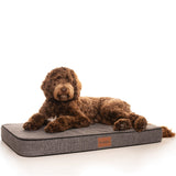 Luxury Dog Bed-Dog Bed-Rover Pet Products