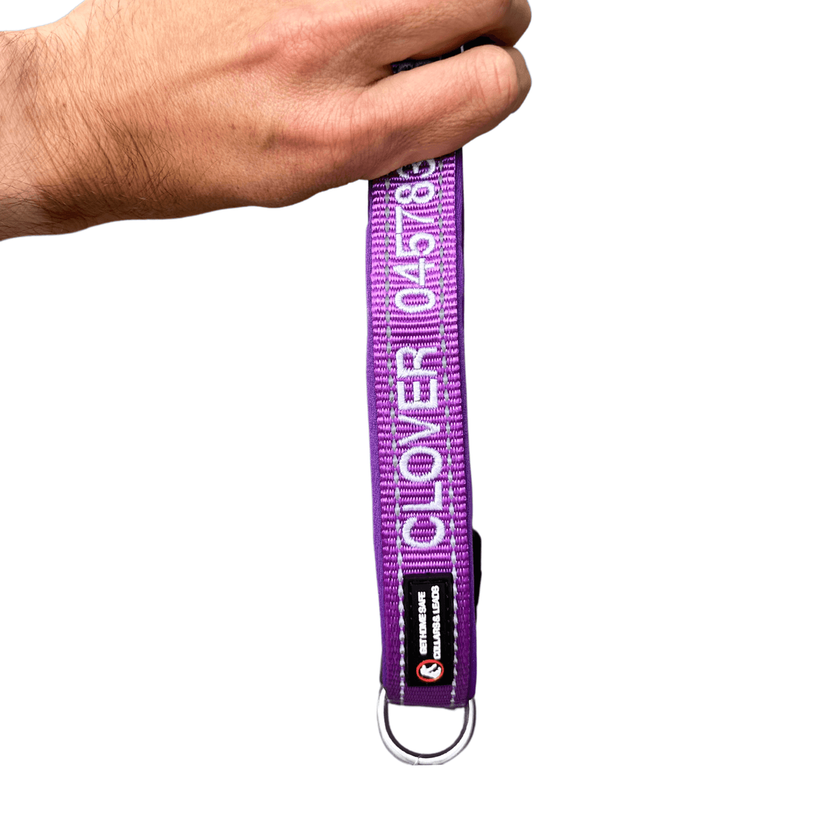Aqua Dog-Dog Collar-Rover Pet Products