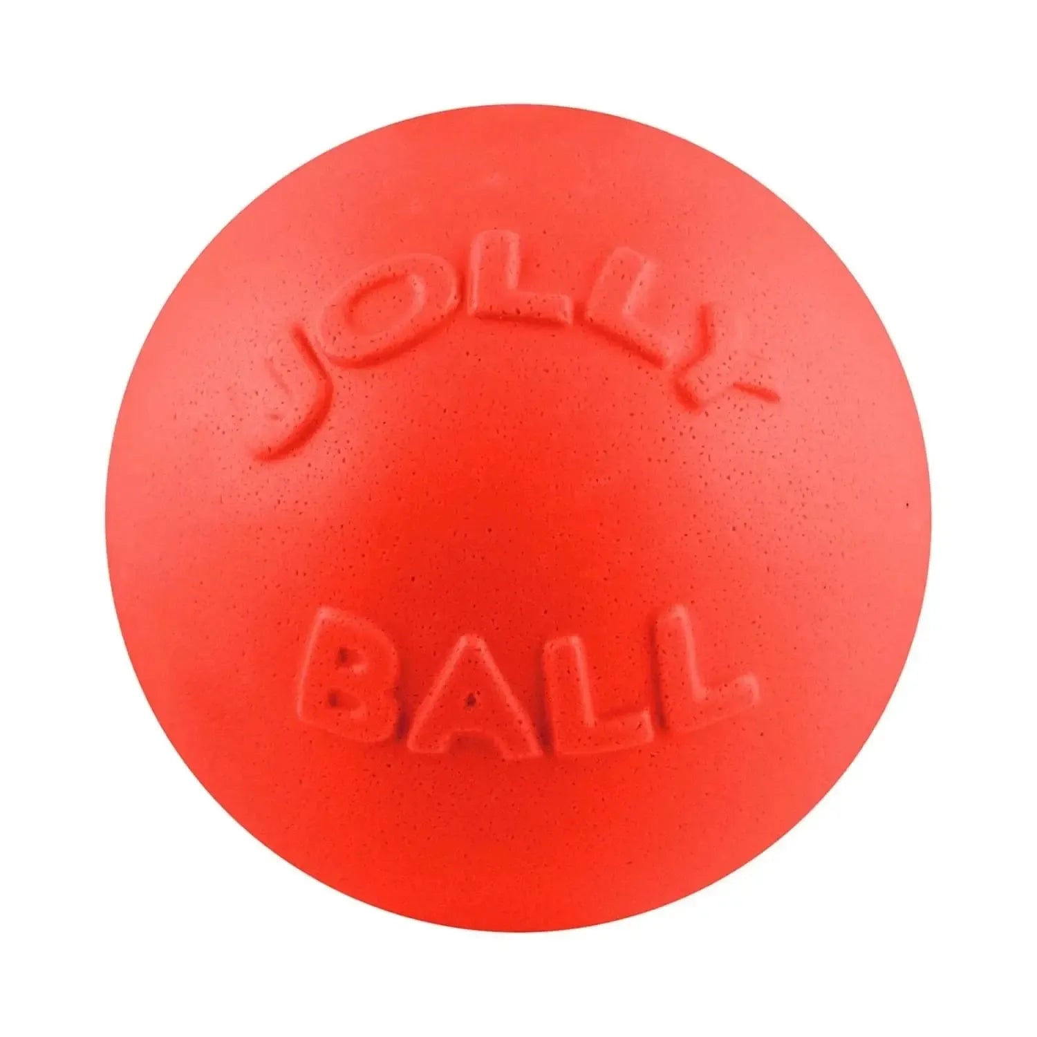 Bounce-N-Play-Rover Pet Products