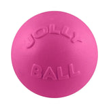 Bounce-N-Play-Rover Pet Products