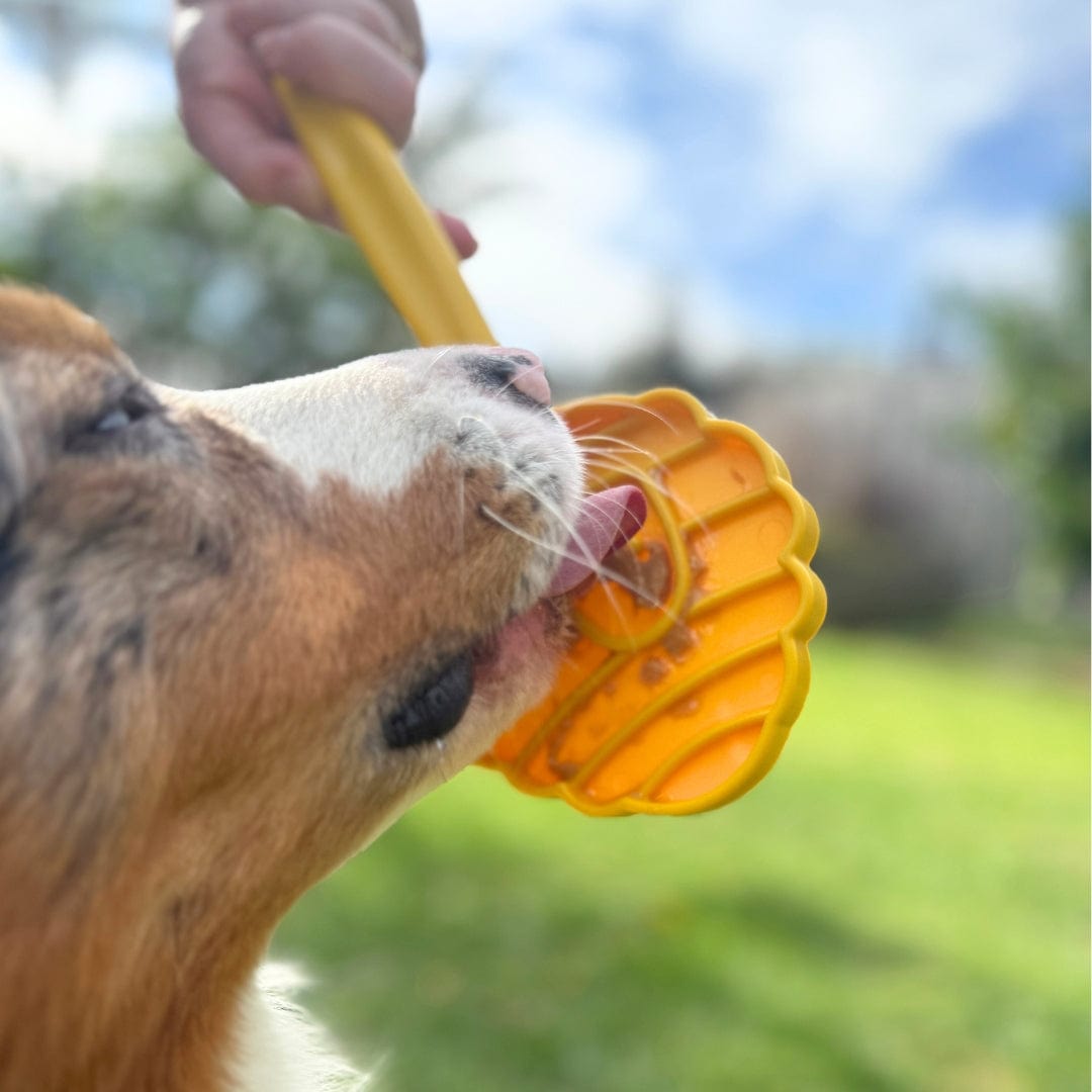 Lick Sticks-Dog Toy-Rover Pet Products