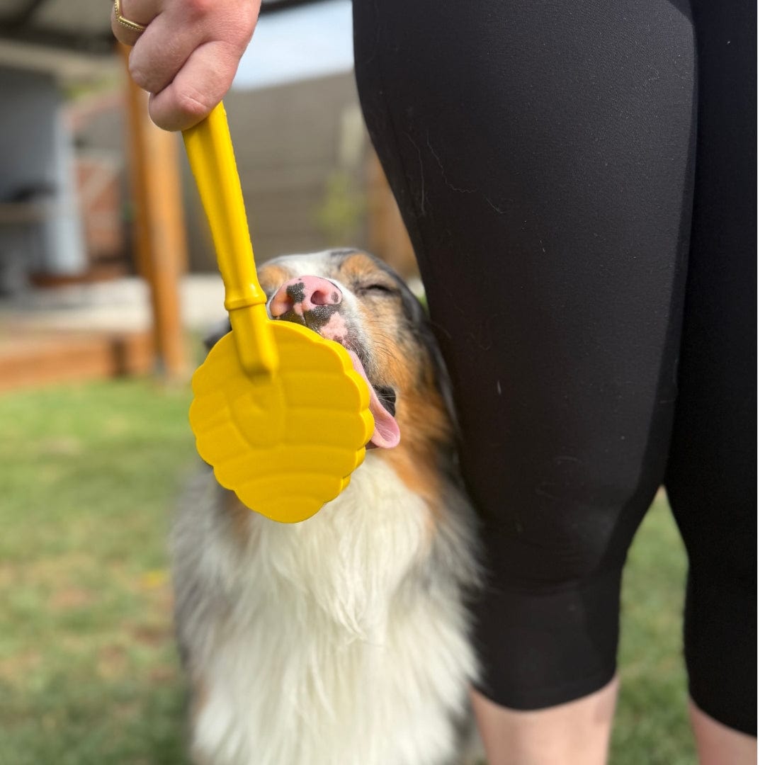 Lick Sticks-Dog Toy-Rover Pet Products