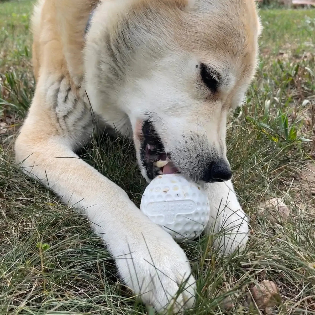 Golf Ball - Chew Toy & Treat Dispenser-Dog Toy-Rover Pet Products