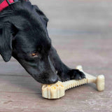 Honeybone Dental Flower Tower - XXL Dog Chew Toy