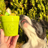 Flower Pot-Dog Toy-Rover Pet Products